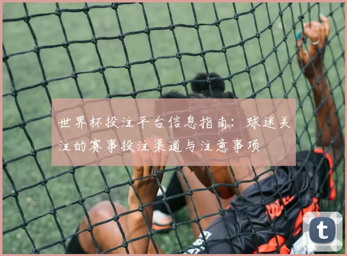 世界杯投注平台信息指南:球迷关注的赛事投注渠道与注意事项