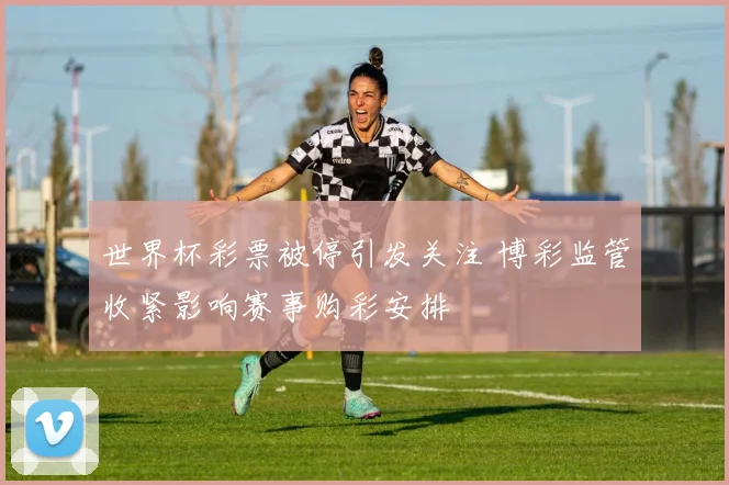 世界杯彩票被停引发关注 博彩监管收紧影响赛事购彩安排