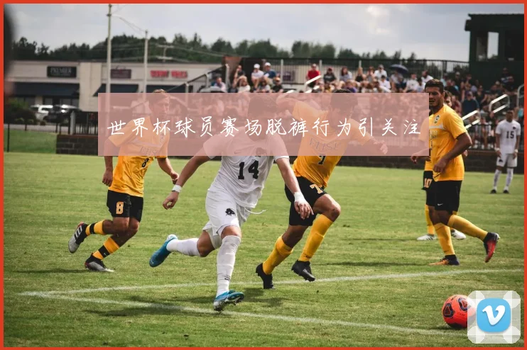 世界杯球员赛场脱裤行为引关注
